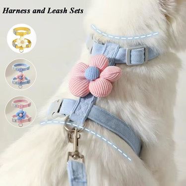 KittyNook Cat Co.'s Purrfect Adventure Harness Set: light blue with floral accent, ideal for cats’ outdoor fun.